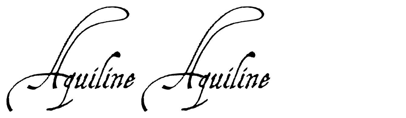 Aquiline Aquiline